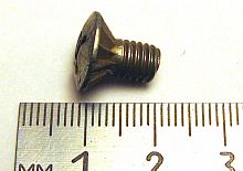 Винт М6х10 креп. замка двери (с зубч. конус.) (100)