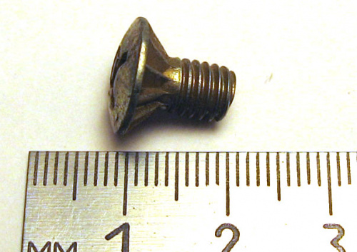 Винт М6х10 креп. замка двери (с зубч. конус.) (100)