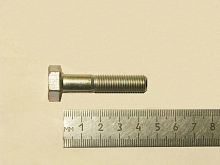 Болт М10х1,25х45    (50)